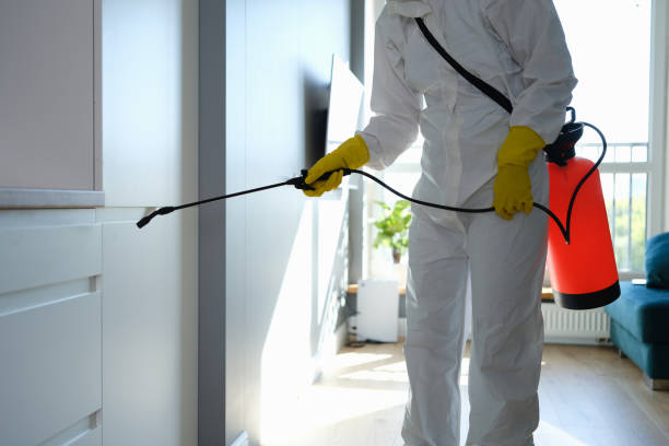 Best Professional Mold Removal  in Fiskdale, MA