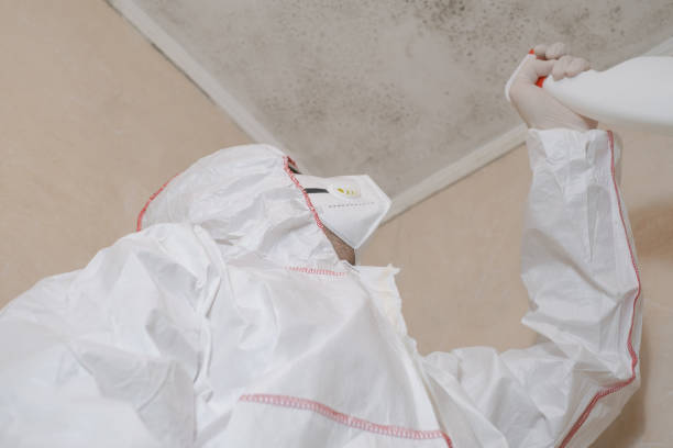 Best Crawl Space Mold Removal  in Fiskdale, MA